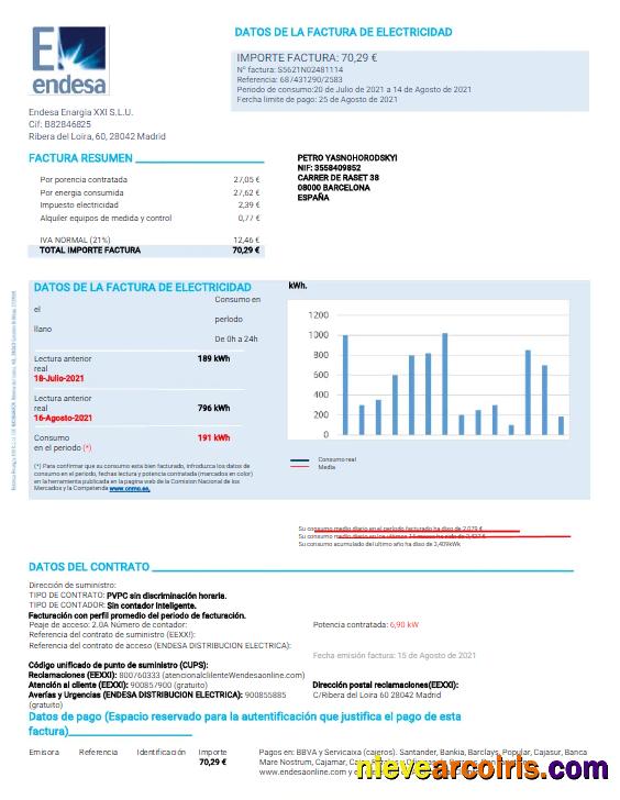 SPAIN ENDESA utility bill